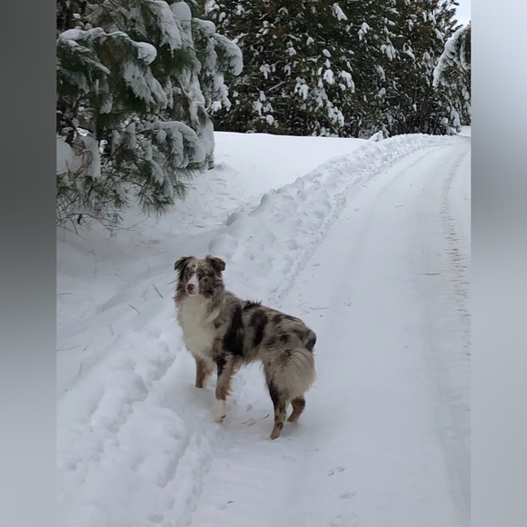 Meet your Posher, Shannon - Picture 5 of 7